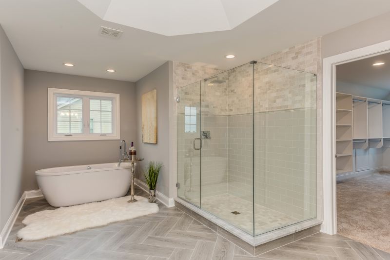 Modern Walk-In Shower with Frameless Glass